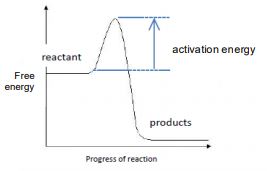 605984 - GCSE Combined Science Sample Mark Scheme Correction