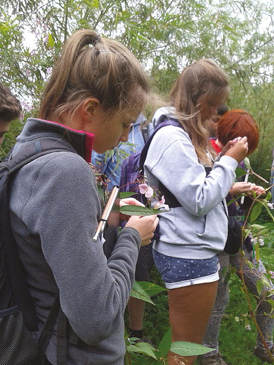 FSC students considering plant adaptations