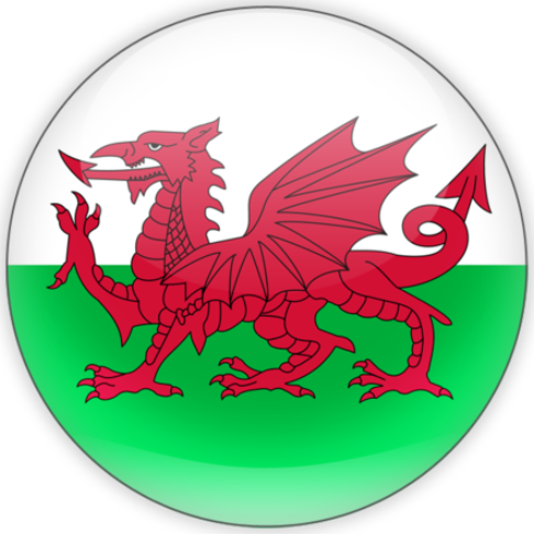 Welsh flag icon